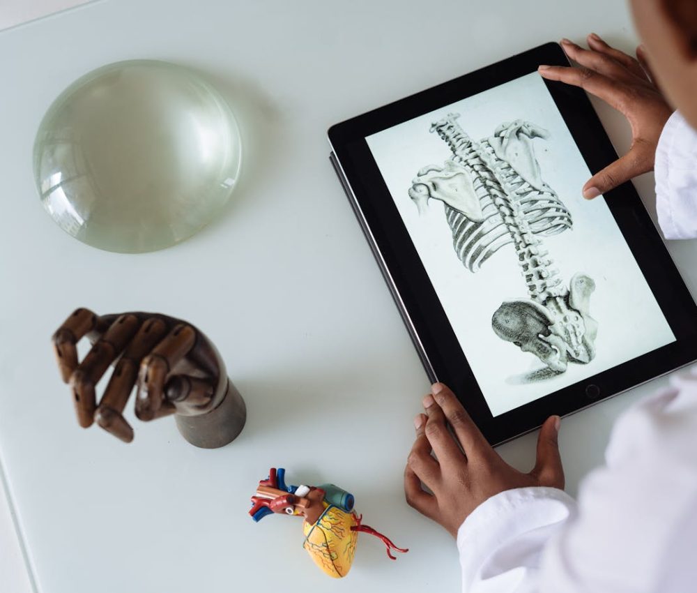 pexels-rethaferguson-3825539 (1)